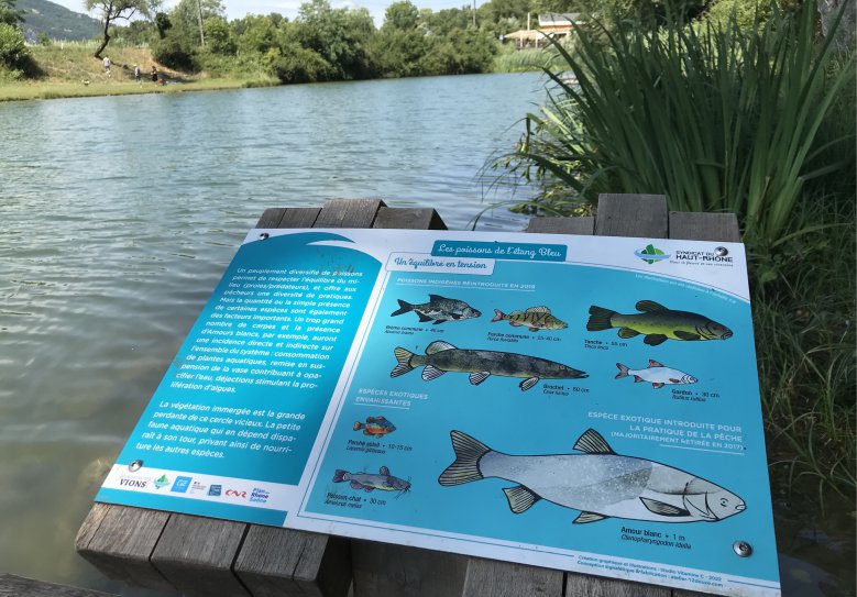 haut-rhone-etang-bleu-table-poissons