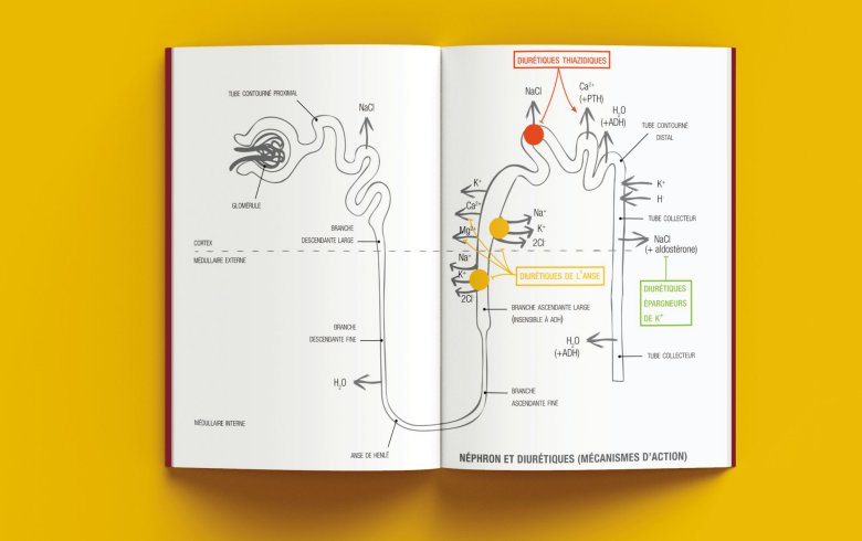 medicaments-iecn-schema-1