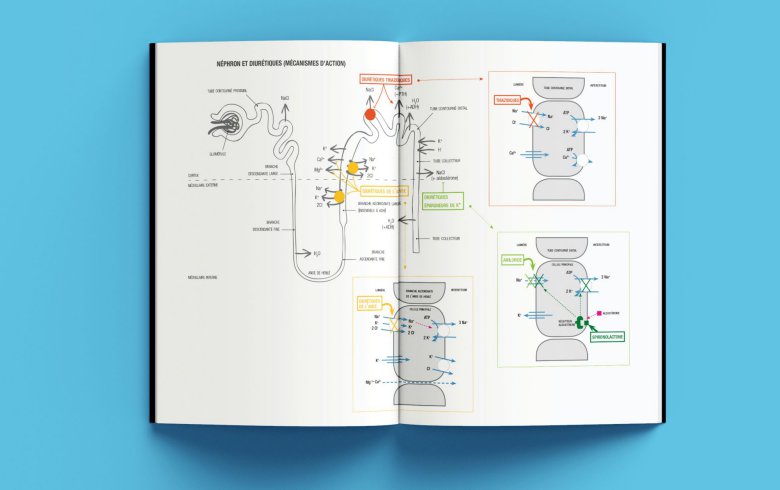 livre-pharmacologie-schema-2